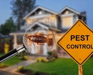 DeAnza Termite & Pest Control