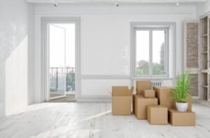 Cleanieup Cleaning Services