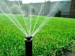 Miles Creek Irrigation and Lighting