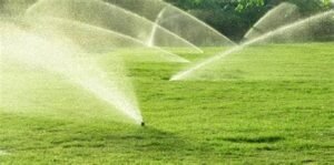 Miles Creek Irrigation and Lighting